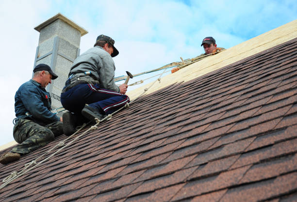 Professional Roofing Contractor in El Rancho, NM